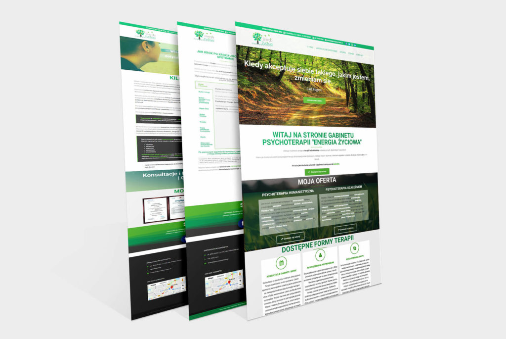Oferta strony internetowe 2 Oferta strony internetowe 1